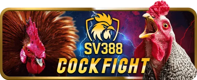 Nổ Hũ Video hiện đại tại nova88 win